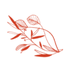 Flor Naranja